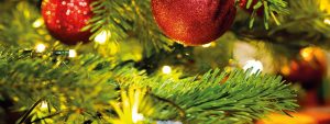 Lee más sobre el artículo Tendencias para que tu árbol deslumbre esta Navidad