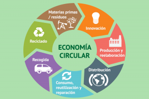 Lee más sobre el artículo Economía circular, ¿tú también cierras el círculo?