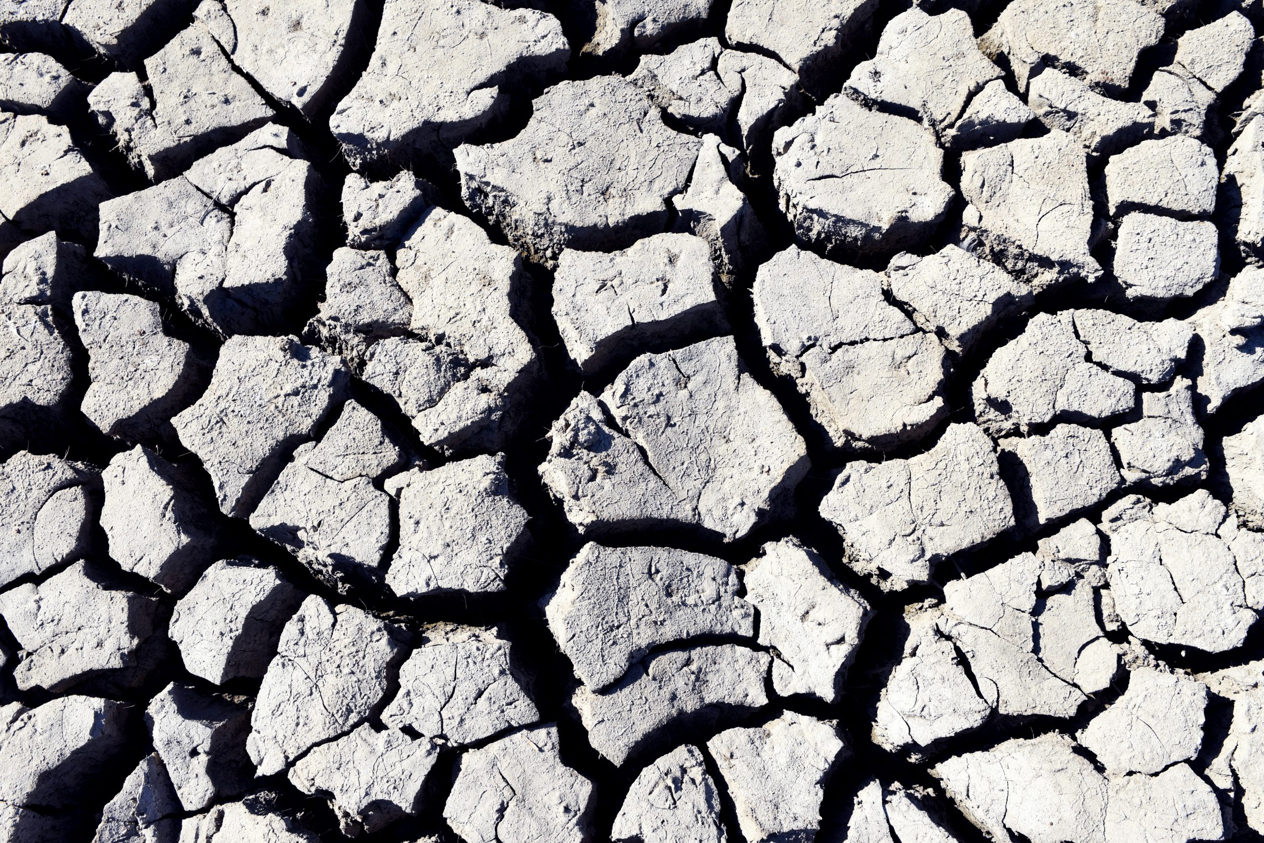 Lee más sobre el artículo El 75% de España en peligro de desertificación