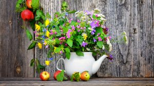 Lee más sobre el artículo Alegría y vida de las flores