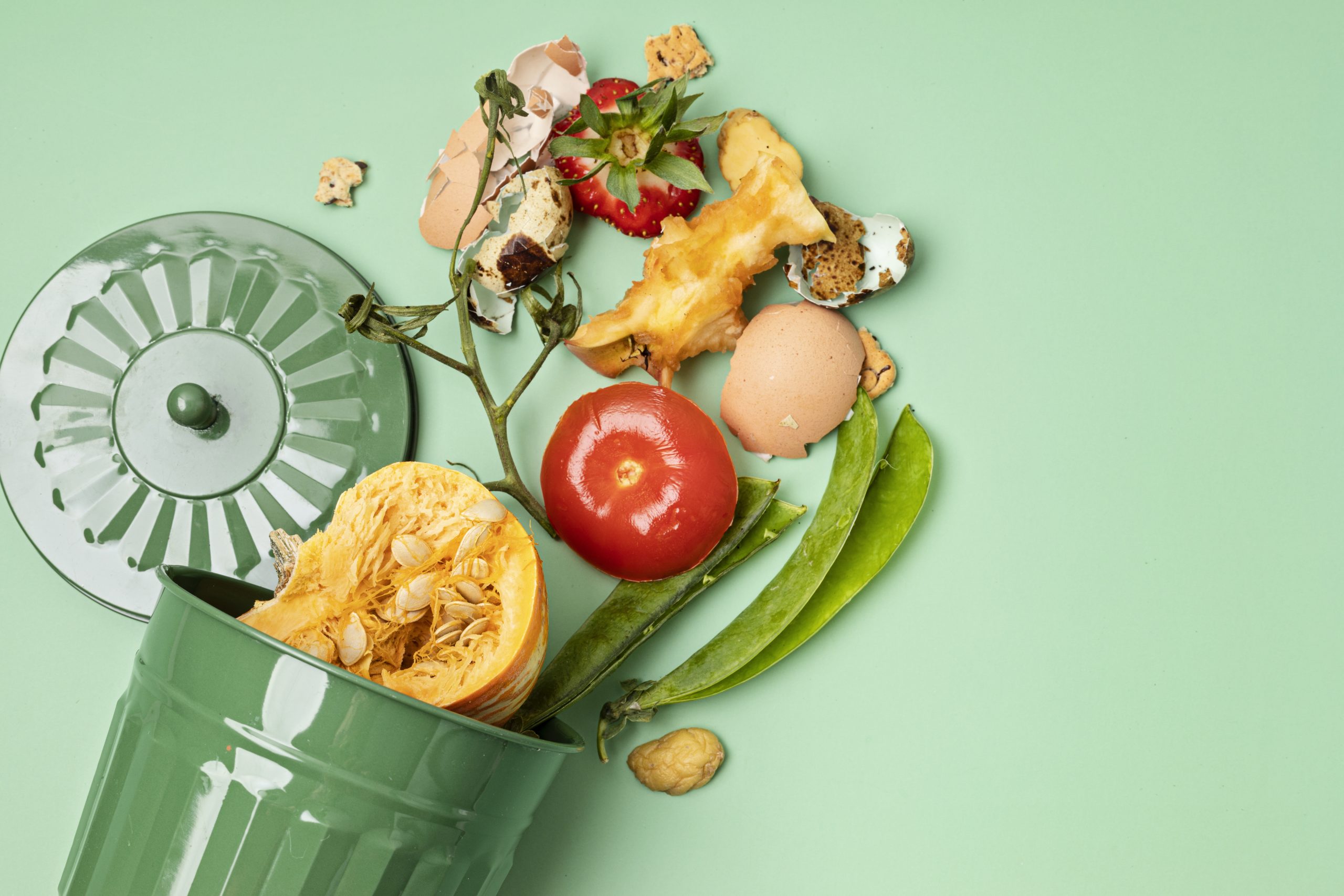 Lee más sobre el artículo Fertilizantes y combustibles al reciclar los desperdicios de comida