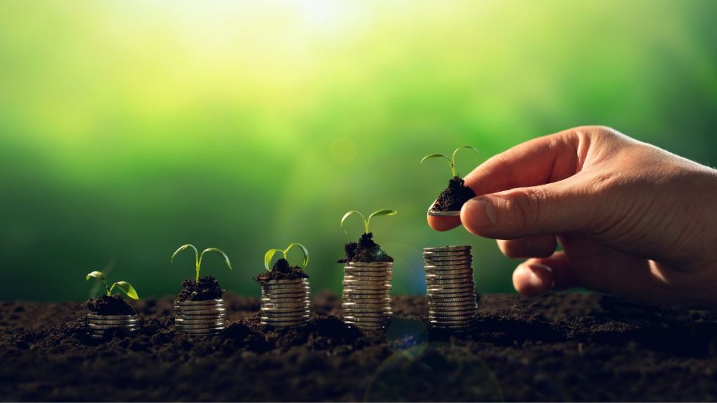 Contra la inflación, soluciones ‘eco’