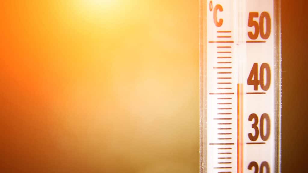 ¿Qué necesita una ciudad para soportar las olas de calor?
