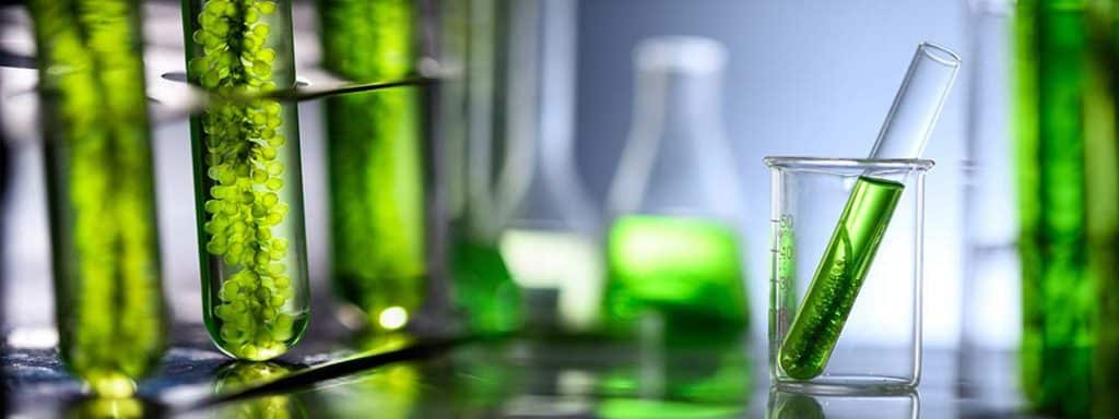 Aceite usado y algas, únicos combustibles de aviones