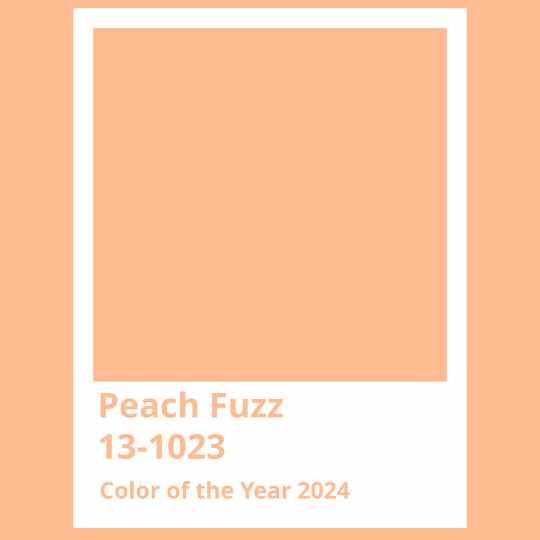 Peach Fuzz, color 2024