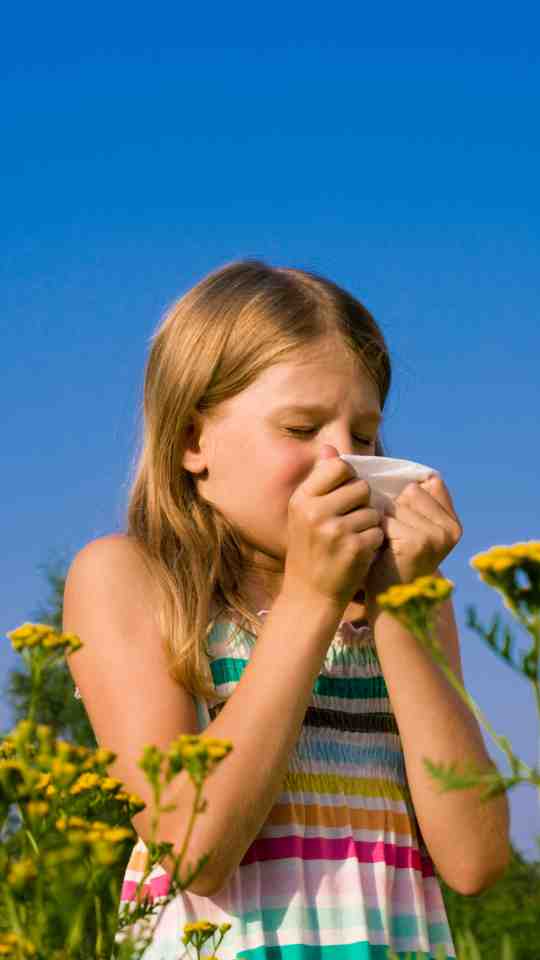 alergia gramíneas