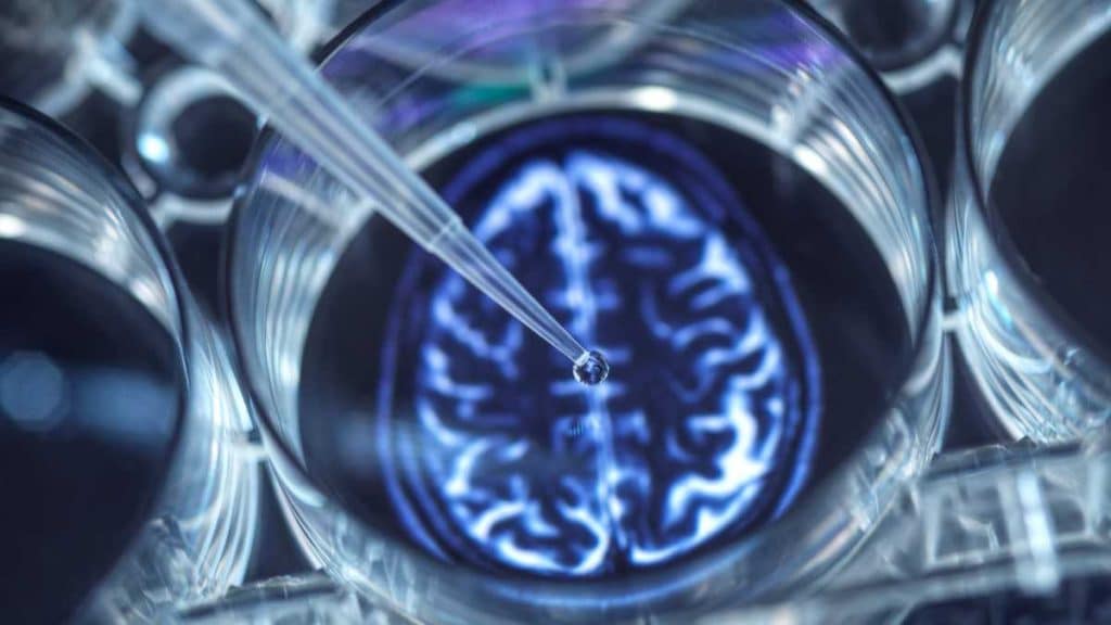 Neurocirugía contra el dolor crónico