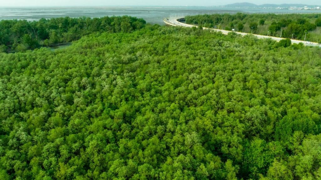 2025_ el año de las tecnologías para capturar CO2