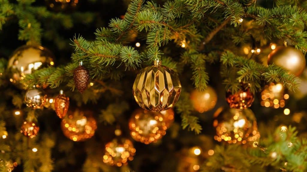 El árbol de Navidad, el rey de diciembre