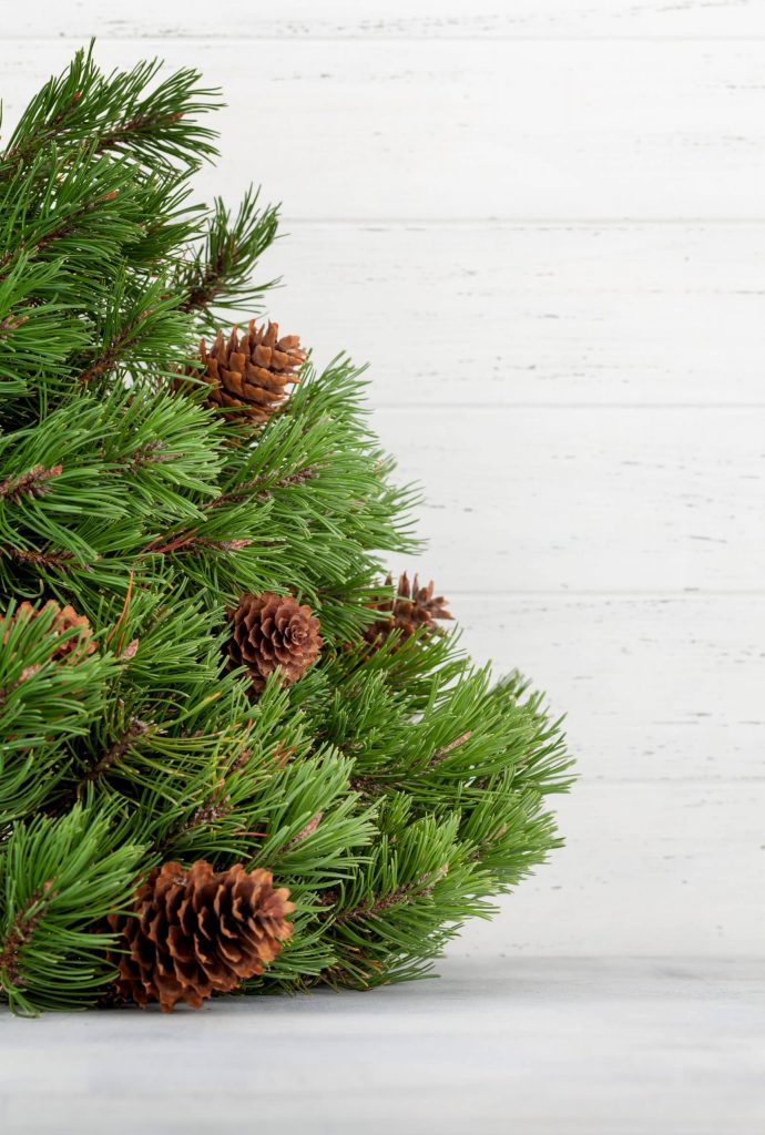 árbol de navidad con piñas