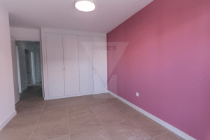 Casa Geosolar - Paredes color