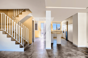 Casa Geosolar - Paredes color