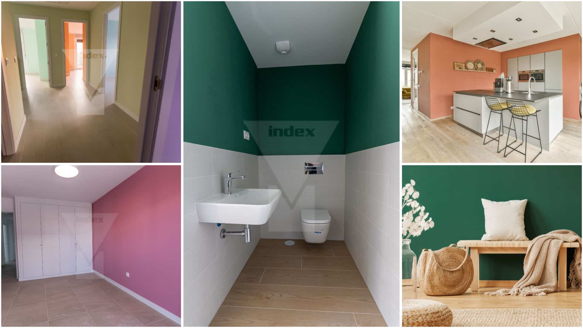 Lee más sobre el artículo Color, el nuevo protagonista