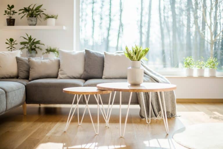 tulipanes frescos en un jarrón, bajo una luz brillante