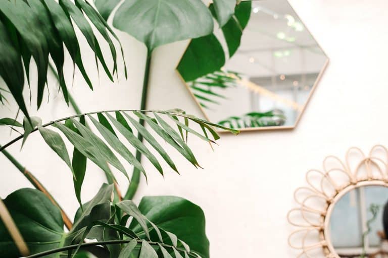 diseño-de-interiores-con-luz-espejo