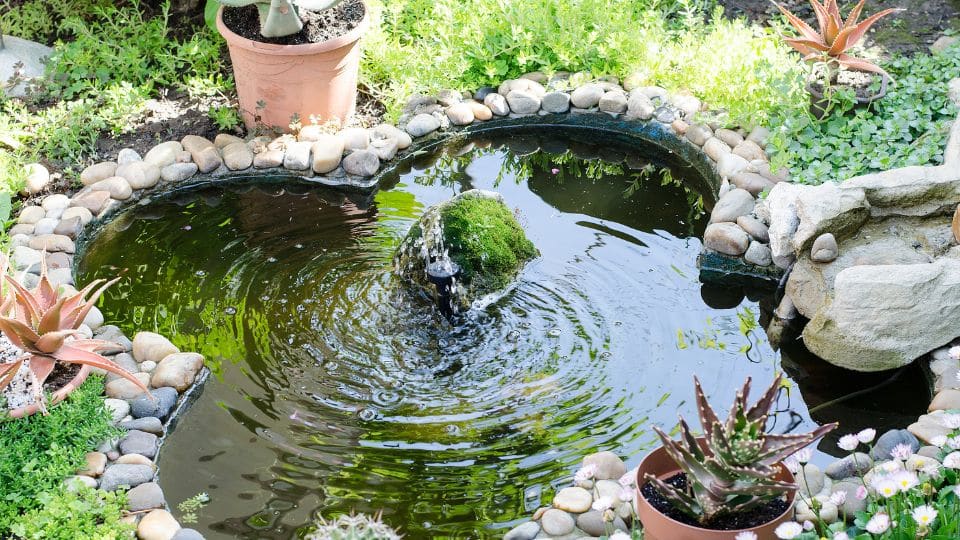 FUENTE JARDÍN