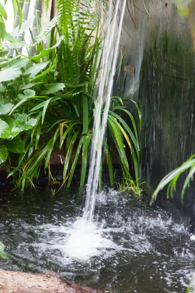 cascada-con-hojas-verdes