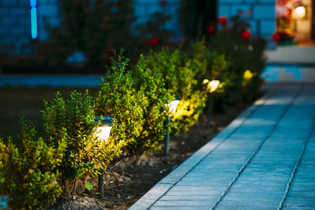 Vista nocturna de un parterre con flores iluminadas por luces de bajo consumo