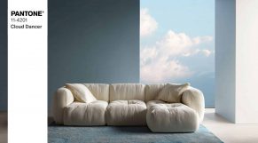 PANTONE 11-4201 Cloud Dancer (1)