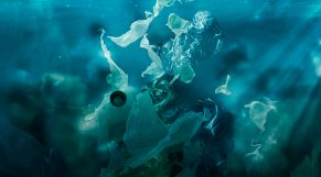 Récord: extraen más de 11.000 kilos de plásticos del océano